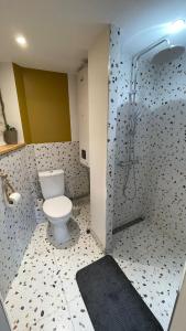 a bathroom with a toilet and a shower at Maison de charme La rochelle - Île de Ré in La Rochelle +1 photo