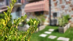 Galeriebild der Unterkunft Josefine Suite Lake Front - Adults Only in Brenzone sul Garda