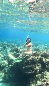 JambuにあるWhaleshark open tripのフリスビーを持って水中にいる女性