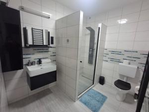 シャーロシュパタクにあるMoonlight Prémium Apartmanházのシャワー、洗面台、トイレ付きのバスルーム