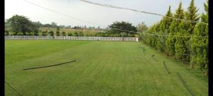 Zahrada ubytování Richmond Hill + 4 fotografie