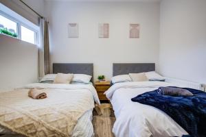 Postel nebo postele na pokoji v ubytování Extra Large Modern Studio Flat In Kent