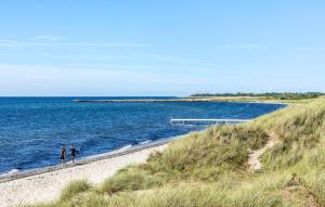 twee mensen lopen op een strand naast de oceaan bij Pet Friendly Home In Rødby With Wifi in Kramnitse +7 foto's
