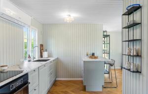 een keuken met witte kasten en een aanrechtblad bij Pet Friendly Home In Rødby With Wifi in Kramnitse