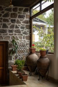 a group of plants in large vases on a window sill at Saryan Guesthouse in Goris