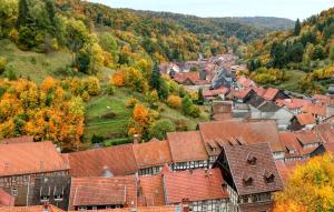 Příroda nedaleko apartmánu + 15 fotografií
