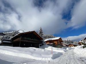 a ski lodge in the snow on a mountain at Chalet Les Ravaires, Morgins in Troistorrents