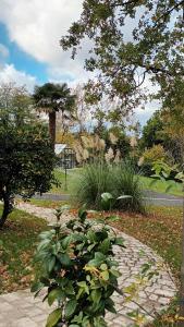 Κήπος έξω από το Les 2 Ginkgos à 5 minutes de Beauval +9 φωτογραφίες