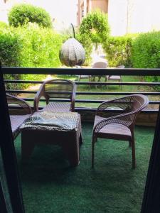 Κήπος έξω από το بلوباى آسيا العين السخنه