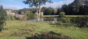 Příroda nedaleko kempu