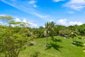 an image of a field with palm trees and grass at Rum Runner - Golden View 328 in Saint James