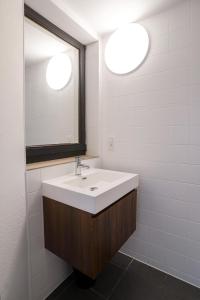 een badkamer met een witte wastafel en een spiegel bij La Chasse 5 in Brussel