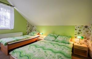 two beds in a bedroom with green walls at Stunning Apartment In Jastrzebia Gora With Sauna in Tupadły