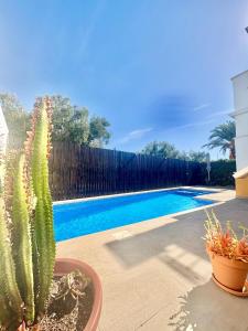 a cactus in a pot next to a swimming pool at Villa Alegre - 2 bed villa with private heated pool on Mar Menor Golf - family friendly in Torre-Pacheco
