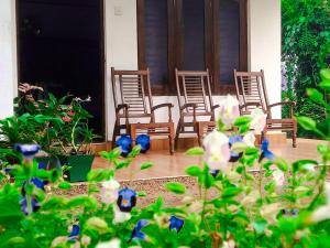 a group of chairs sitting on a porch with flowers at Golden Breeze Villa in Beruwala +11 photos