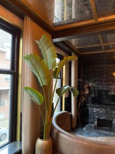 una planta en un jarrón junto a una ventana en Luxury apartment top location, en Eindhoven