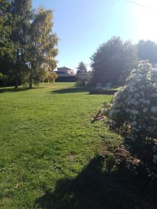 a field of green grass with trees and flowers at Bed and Cèpes in Busserolles