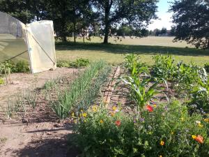 a garden with flowers and a tent in a field at Bed and Cèpes in Busserolles