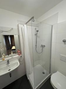 a bathroom with a shower and a toilet and a sink at F3 - 1 Zimmer Wohnung in Offenbach