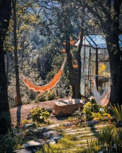 a hammock in a garden with a greenhouse at 16Th Century Farmhouse Between The Tuscan Hills in Brancorsi