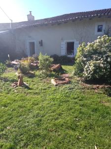 a yard with a house and some bushes at Bed and Cèpes in Busserolles +5 photos