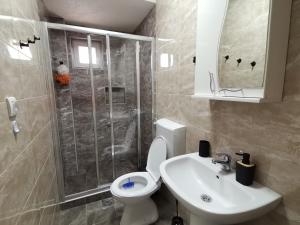 a bathroom with a shower and a toilet and a sink at Apartman Sigma Zlatar in Nova Varoš +16 photos