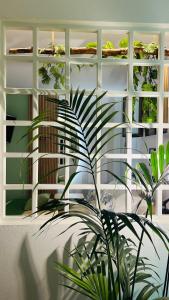 a room with a plant in front of a wall at BBSUITE21 Maranello in Maranello