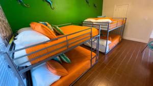 Ce lit se trouve dans un dortoir doté de 2 lits superposés et d'un mur vert. dans l'établissement Modern Beach Home with Pool Steps Away, à South Padre Island