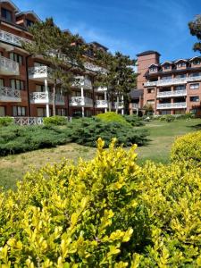 a bush with yellow flowers in front of a building at The Residence Costa del Este in Costa del Este
