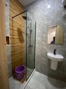 a bathroom with a shower and a toilet and a sink at DLA Lux Studio in Ikota, Lagos in Lekki