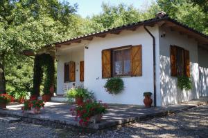 een klein wit huis met bloemen ervoor bij Villetta Casa Fiori - I GERANEI in San Savino