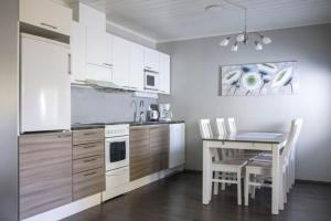 Kuchyň nebo kuchyňský kout v ubytování Iin Sillat