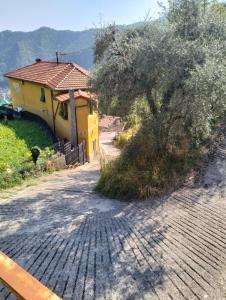 Příroda nedaleko apartmánu + 4 fotografie