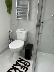 a bathroom with a toilet and a shower and a rug at Beautiful new build studio in London in Sutton