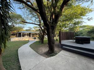a park with a tree and a bench and a building at Imani Bush House & Silver Sky Chalet in Hluhluwe
