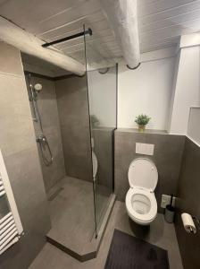 Gallery image of Vilă uimitoare aproape de pârtii in Ranca