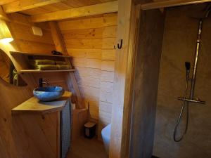 Un baño con inodoro, lavabo y ducha. en Cabane Insolite de la Semine, en La Pesse
