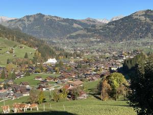 a small town in the mountains with cows in a field at Apartment Alpenchalet Haldeli by Interhome in Gstaad