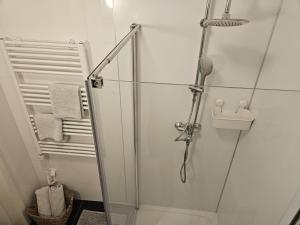 una ducha con puerta de cristal en un baño en Lendhäuschen, en Klagenfurt