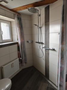 a bathroom with a shower and a toilet at Ferienwohnung zwischen Steigerwald und Frankenhöhe für 2-3 Personen, barrierefrei in Gallmersgarten