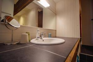 a bathroom with a sink and a mirror at annexe du Mesnil in Le Tourne +38 photos