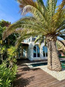 una palmera delante de una casa en Asia Gardens Villa with private pool in Benidorm, en Cala de Finestrat