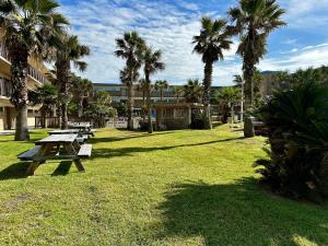 a picnic table in a park with palm trees at Island House BeachFront Condo Hotel in Corpus Christi