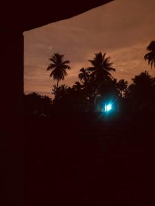a sunset with palm trees in the background at MUSA Holiday Inn in Dodanduwa