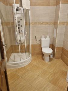 a bathroom with a shower and a toilet at Apartmány ORAVA-EDDA in Martinske Hole +60 photos