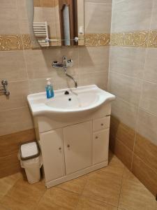 un baño con lavabo y espejo en Apartmány ORAVA-EDDA, en Trenčianske Teplice