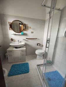 a bathroom with a shower and a sink and a toilet at Vigna Renaro Elegant in Gubbio