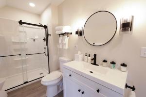 a bathroom with a toilet and a sink and a mirror at Eliza Gothic in Maquoketa +24 photos