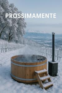 a hot tub in a snow covered field with a snowcovered forest at Vigna Renaro Elegant in Gubbio