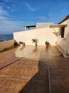 a patio with potted plants next to the ocean at guyville house in Temara